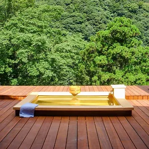 **** Ryokan Seikansou Japan